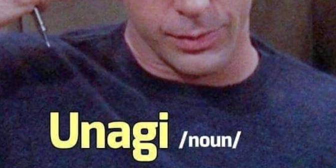 Unagi