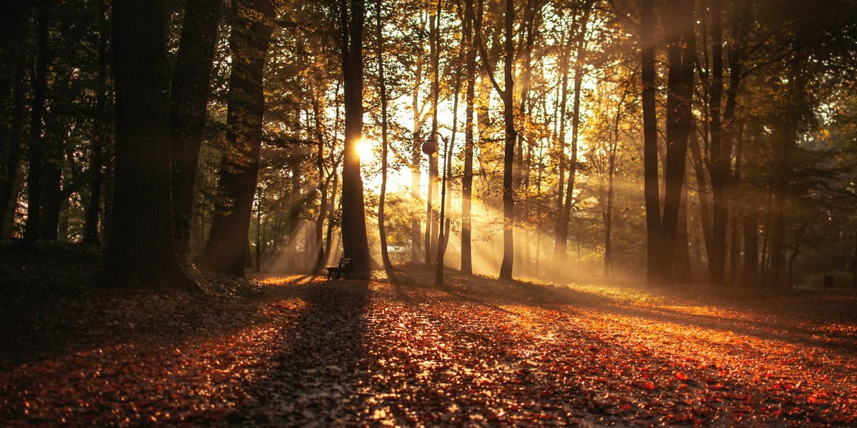 Seasons and Reasons